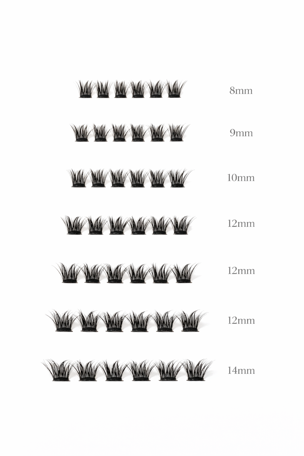 lash menu