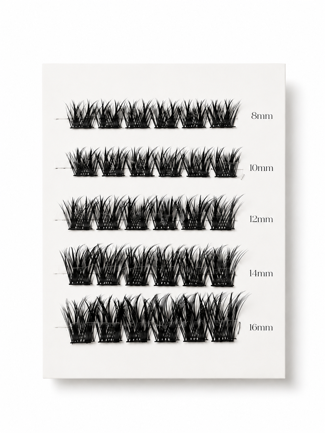 mini lash menu